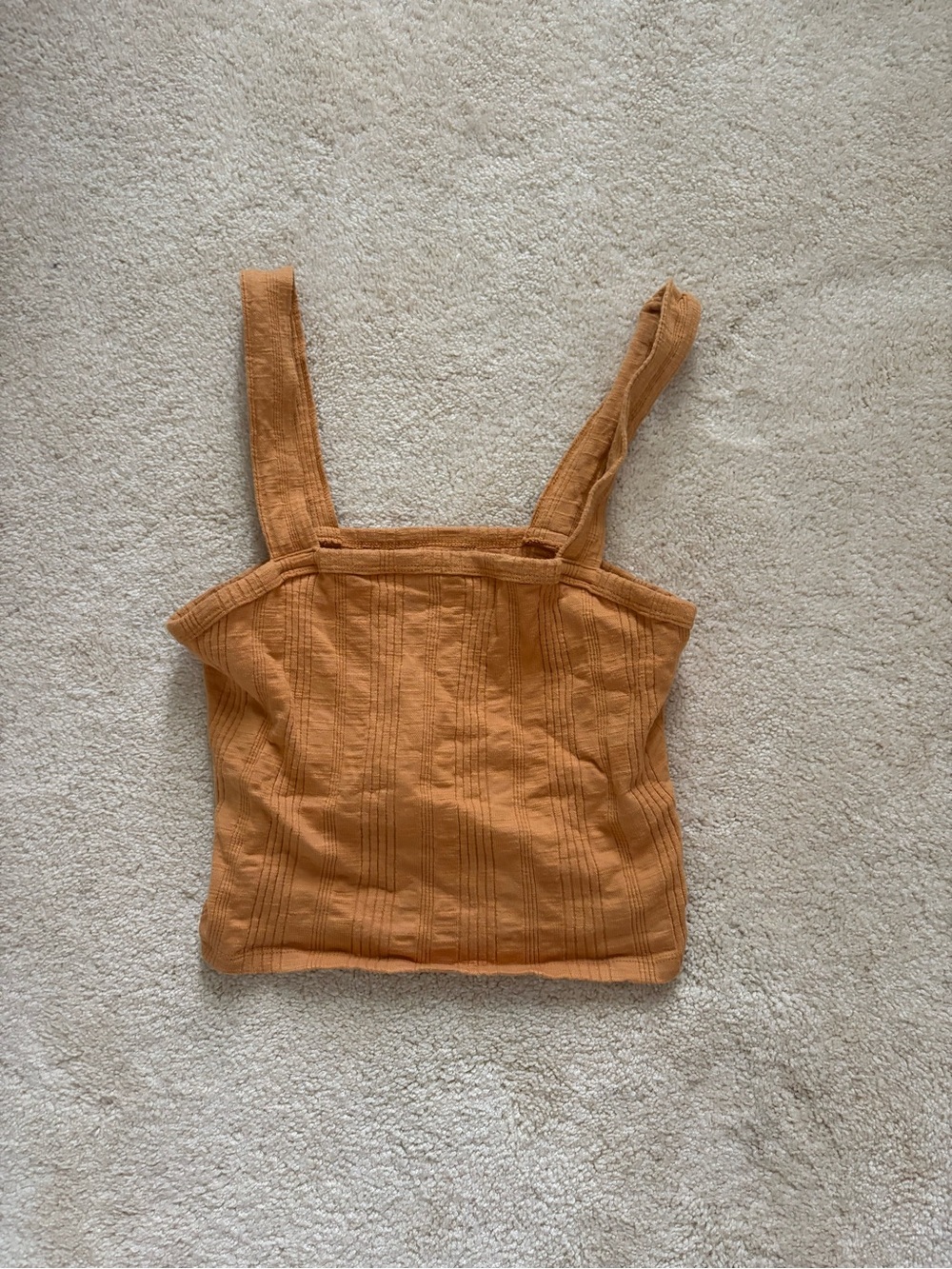 American Eagle Crop Top